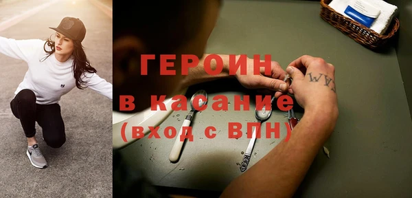 шишки Арсеньев