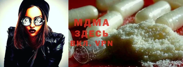 шишки Арсеньев
