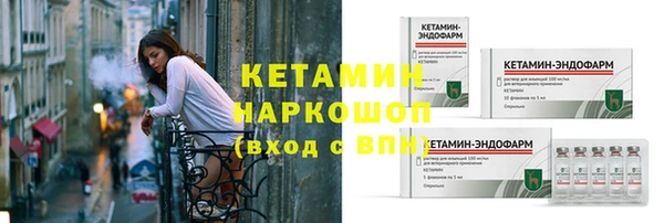 шишки Арсеньев