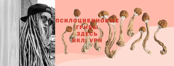 эйфоретик Армянск