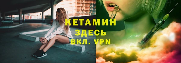 шишки Арсеньев