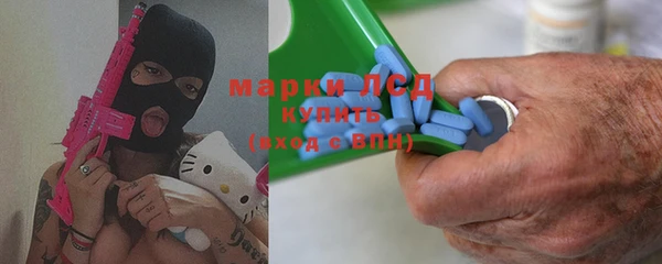 шишки Арсеньев