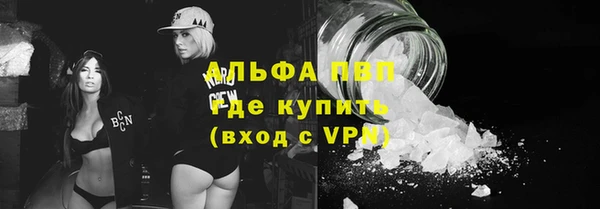 шишки Арсеньев