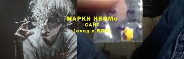 шишки Арсеньев