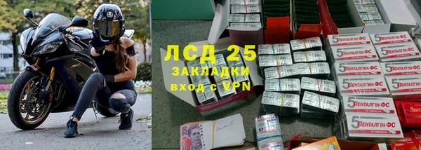 шишки Арсеньев