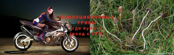 наркотики Аркадак