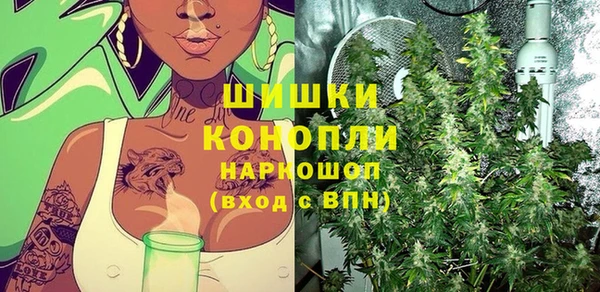шишки Арсеньев