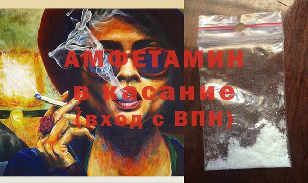 шишки Арсеньев